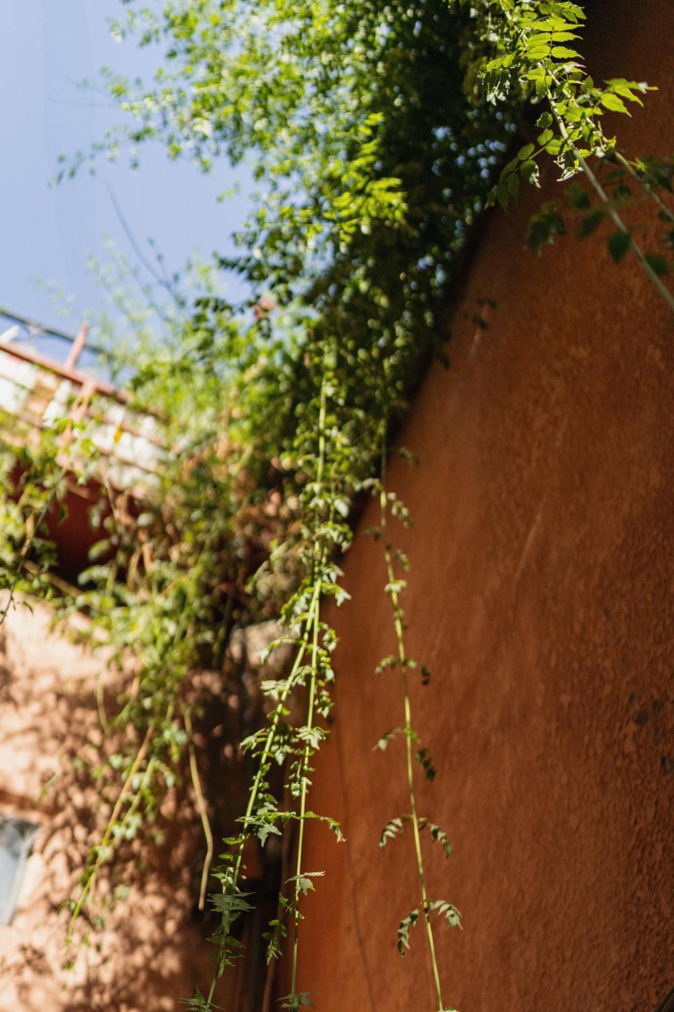 Riad Senja Marrákes Kültér fotó